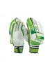 Cricket Gloves