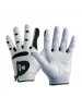 Golf Glove